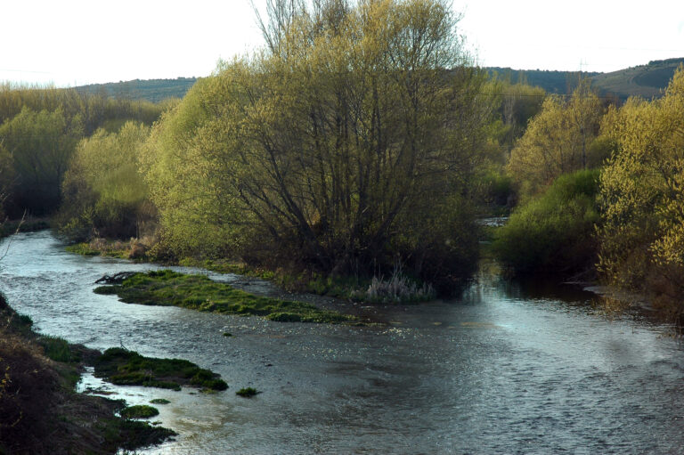 Los ecologistas denuncian que la alternativa a las balsas del Órbigo es anegar más valles