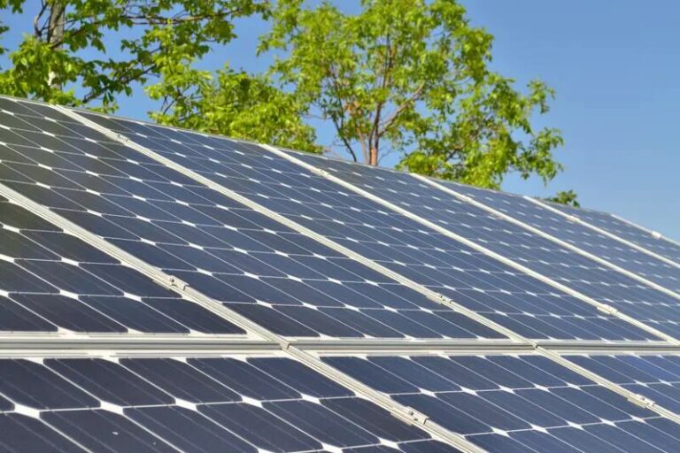 Alta Valduerna interpone recurso contencioso administrativo contra las autorizaciones de las plantas solares «La Raposa» y «Castrillo I»
