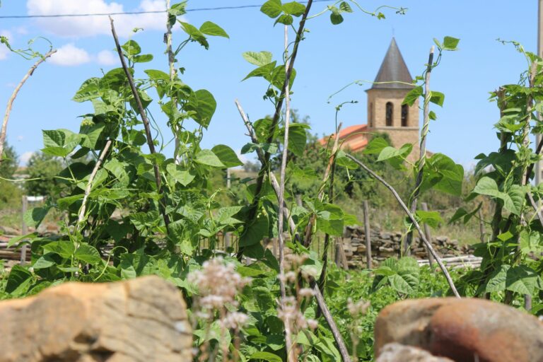 Se buscan nuevos maragatos para el Val de San Lorenzo