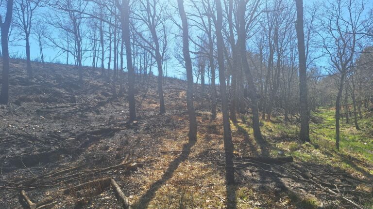 Teleno Libre muestra su preocupación por las quemas realizadas por la UME en el campo de tiro