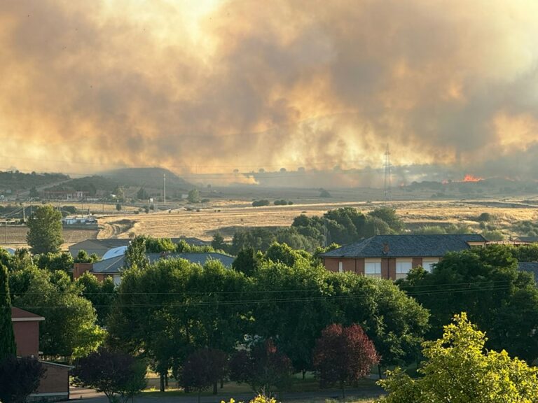 La Junta realizará tratamientos selvícolas preventivos de incendios y otras actuaciones de mejora del medio natural en varias provincias por valor de casi 20 millones de euros