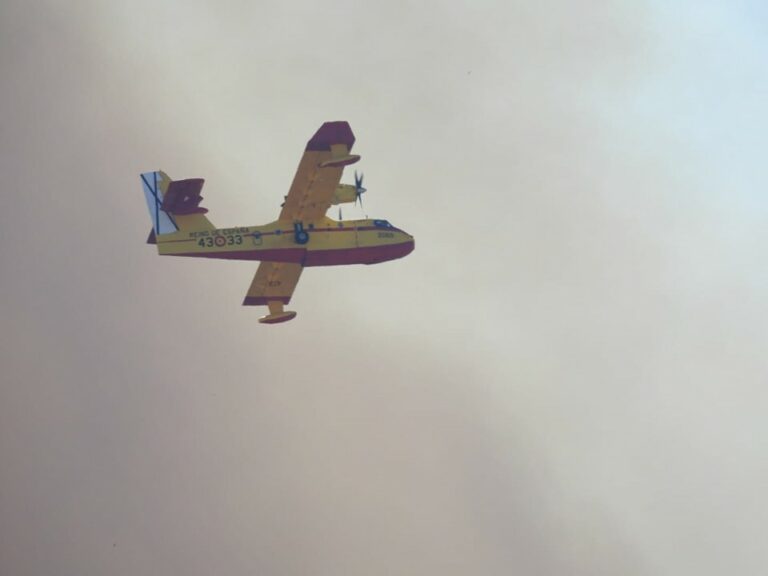 Economía y Hacienda aprueba 220.000 euros a 40 autónomos y pymes de Ávila, León y Zamora cuya actividad se ha visto interrumpida por los incendios forestales