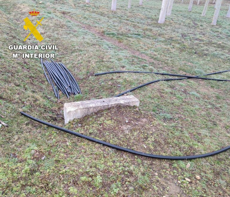 Cuatro detenidos por sustraer cableado de telefonía móvil en Pedregal y pertenencia a grupo criminal