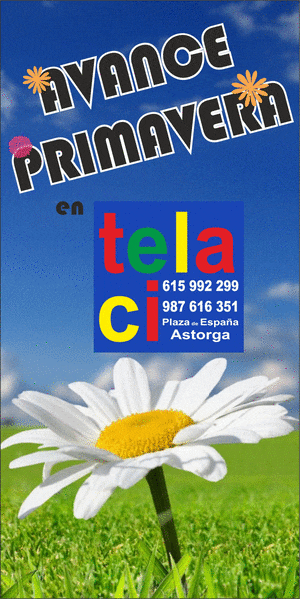 spot_img