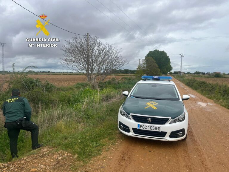 Sorprendida una persona pescando de manera ilegal ranas comunes en un camino del término municipal de Villazala