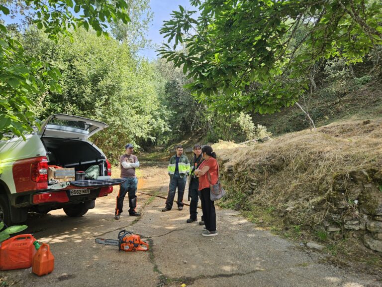 La Diputación desarrolla labores de prevención de incendios en 183 municipios a través del Plan Montel