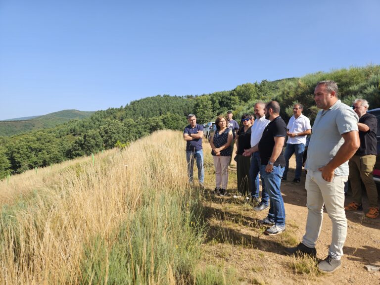 La Diputación avanza en la plantación de 40.000 castaños con una inversión de 3,2 millones de euros