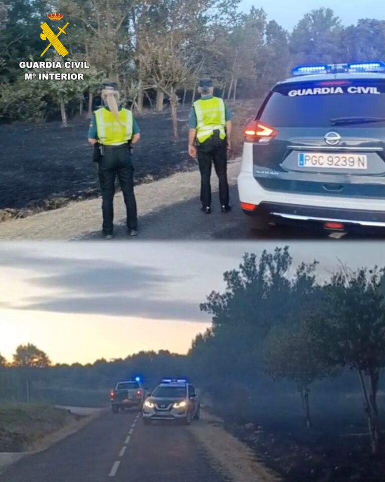 Investigado el presunto autor del incendio forestal declarado en Ferreras de Cepeda