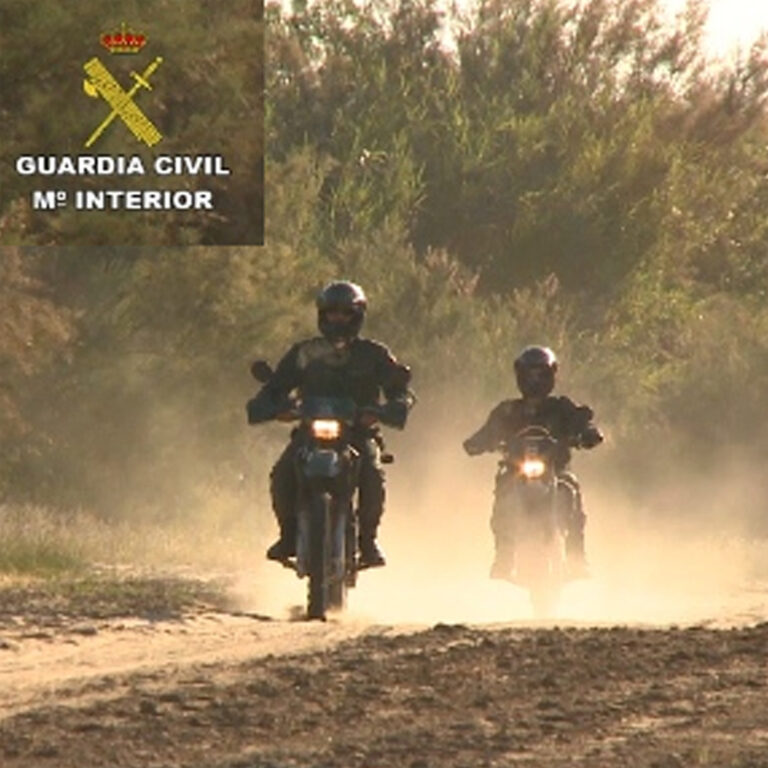 SEPRONA investiga el tiroteo de varias cigüeñas en Sopeña