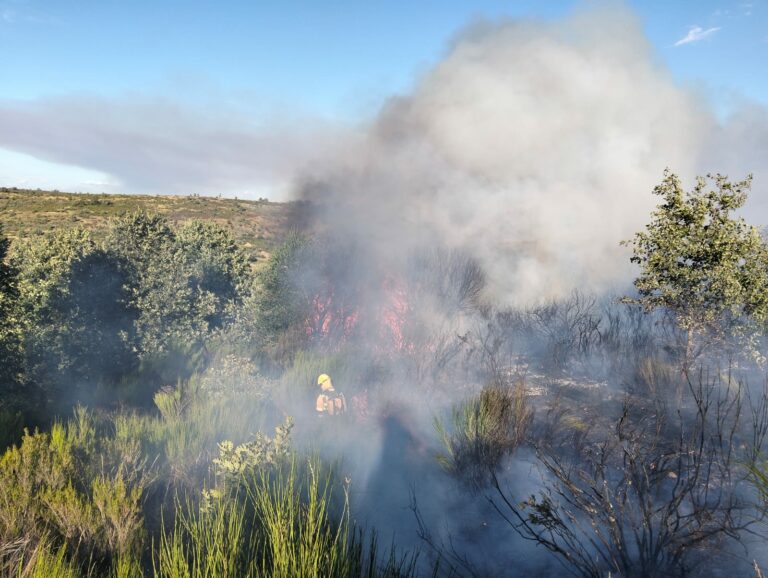 La falta de vigilancia vuelve a alimentar la polémica de los incendios forestales