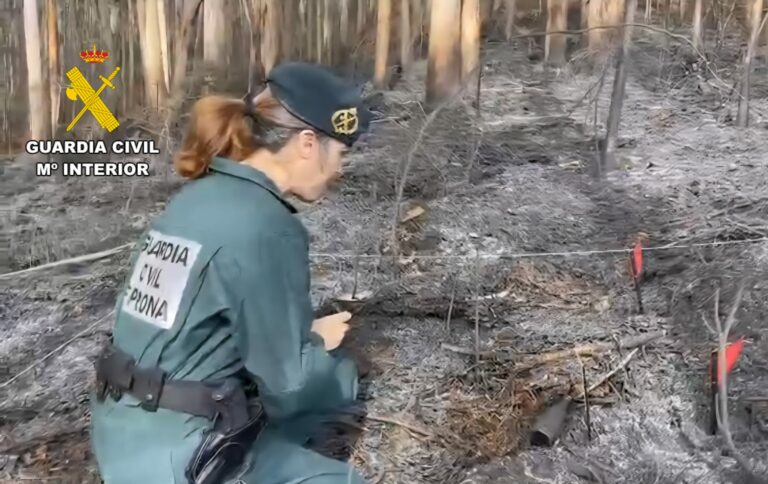 Investigado un varón de 69 años por su presunta implicación en un incendio forestal en el término municipal de Castropodame