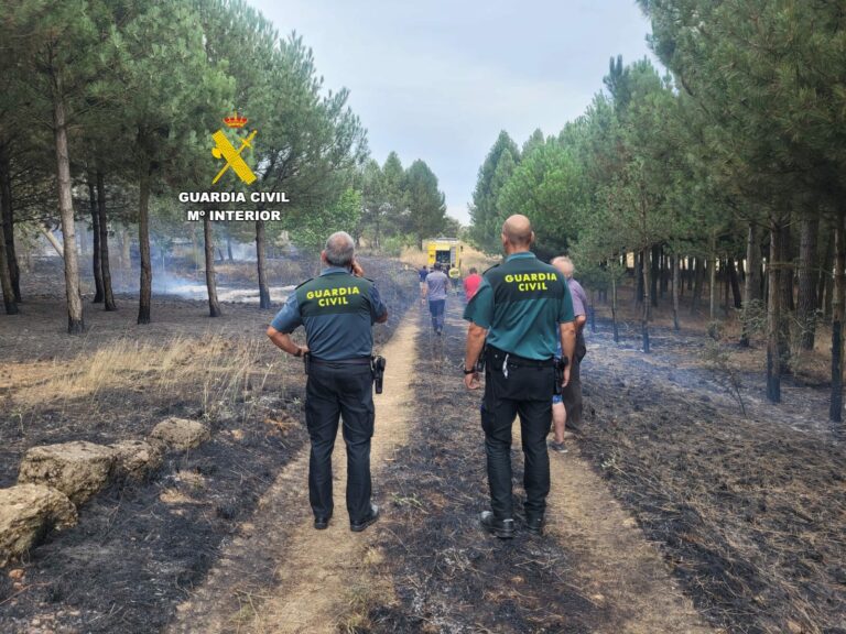 Investigado el supuesto autor del incendio forestal declarado en San Justo de la Vega