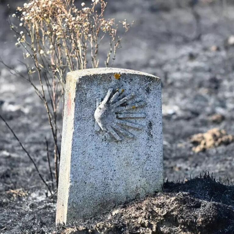 Los incendios de agosto lastraron aún más el tráfico de peregrinos por el Camino Francés