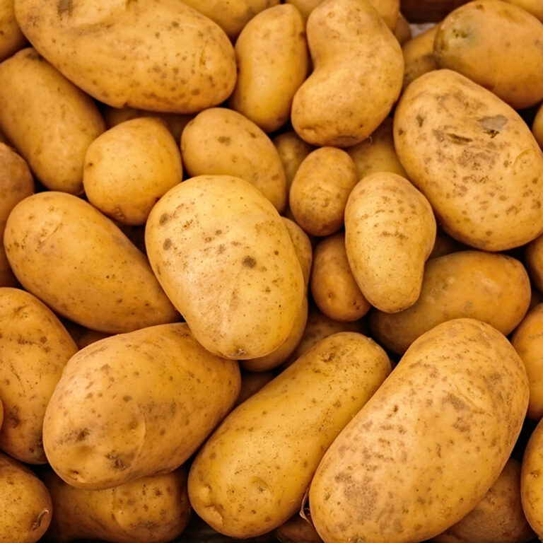 Una sobreproducción mundial de patata arruina los precios para los agricultores
