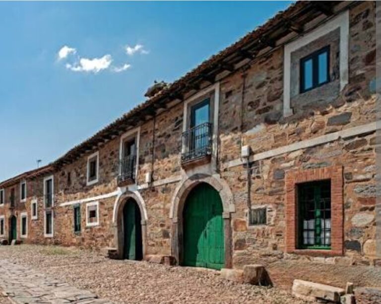 XIX Encuentro de Traductores y Escritores de Castrillo de los Polvazares: “Literatura en el Antropoceno y su traducción”