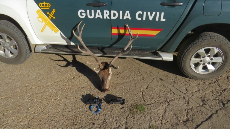 Identificado un cazador en posesión de una cabeza de ciervo macho sin precintar reglamentariamente