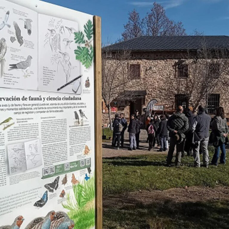 Valdavido cierra un proyecto que ha regenerado 140 has. de bosque implicando 800 personas