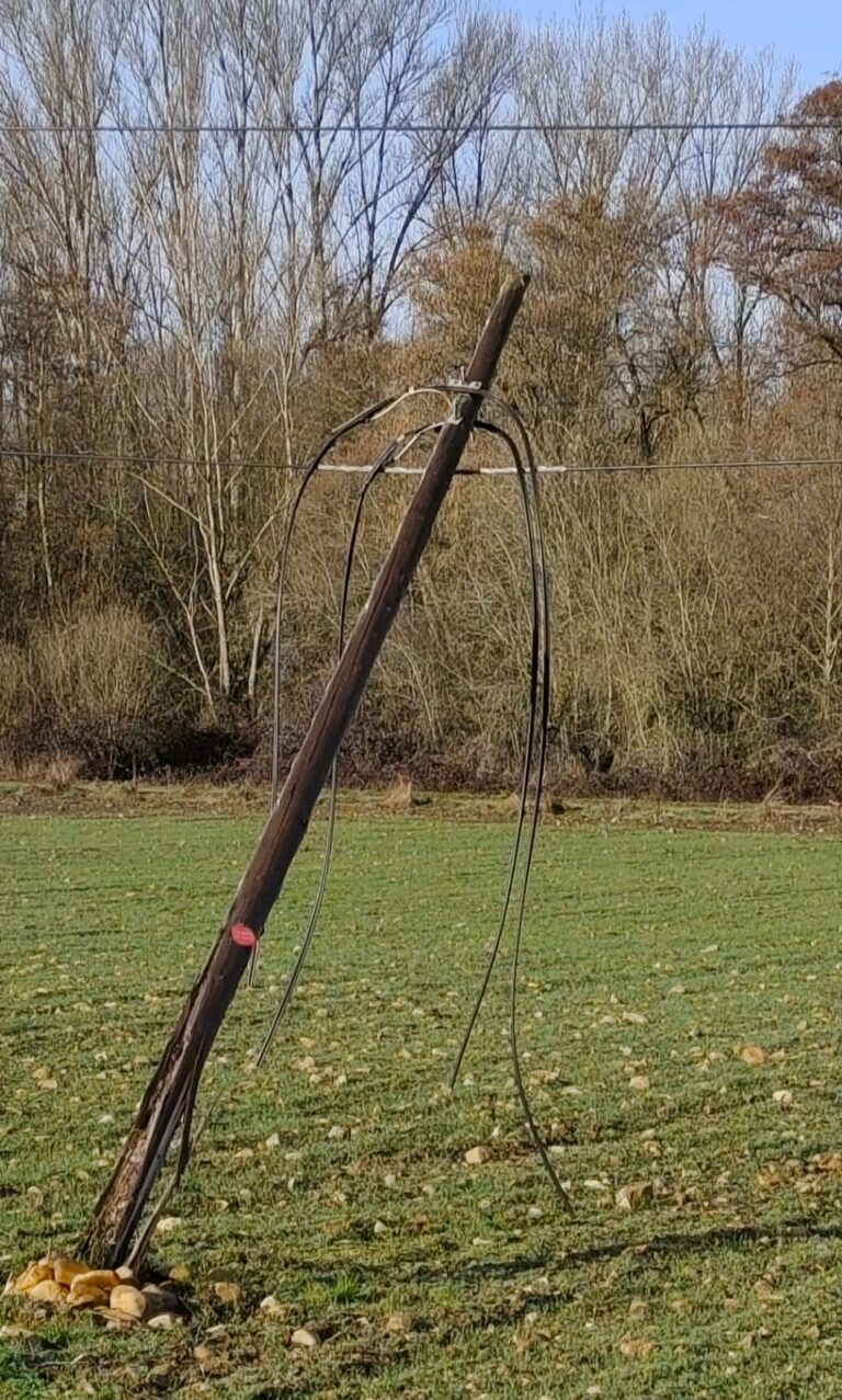 Telefónica: la decadencia de la empresa insignia de telecomunicaciones