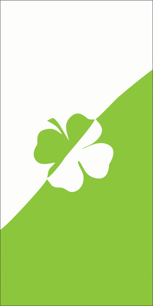 spot_img