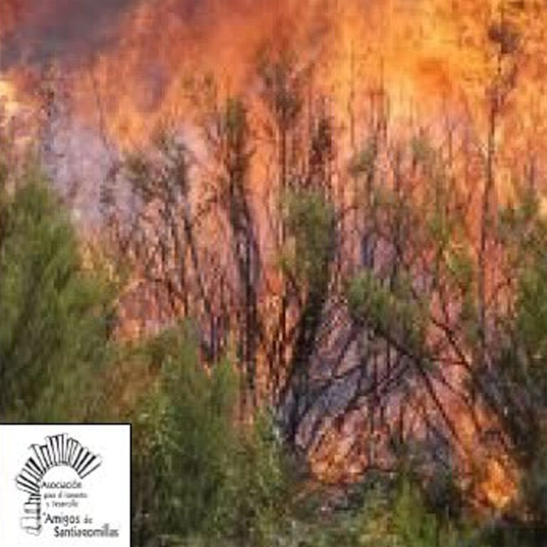 Amigos de Santiagomillas reclama al ayuntamiento una ordenanza antiincendios